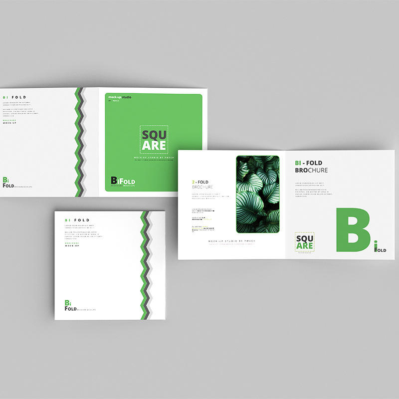 Custom Full Color Flyer Brochu - Commercial Printing Business 评论和价格