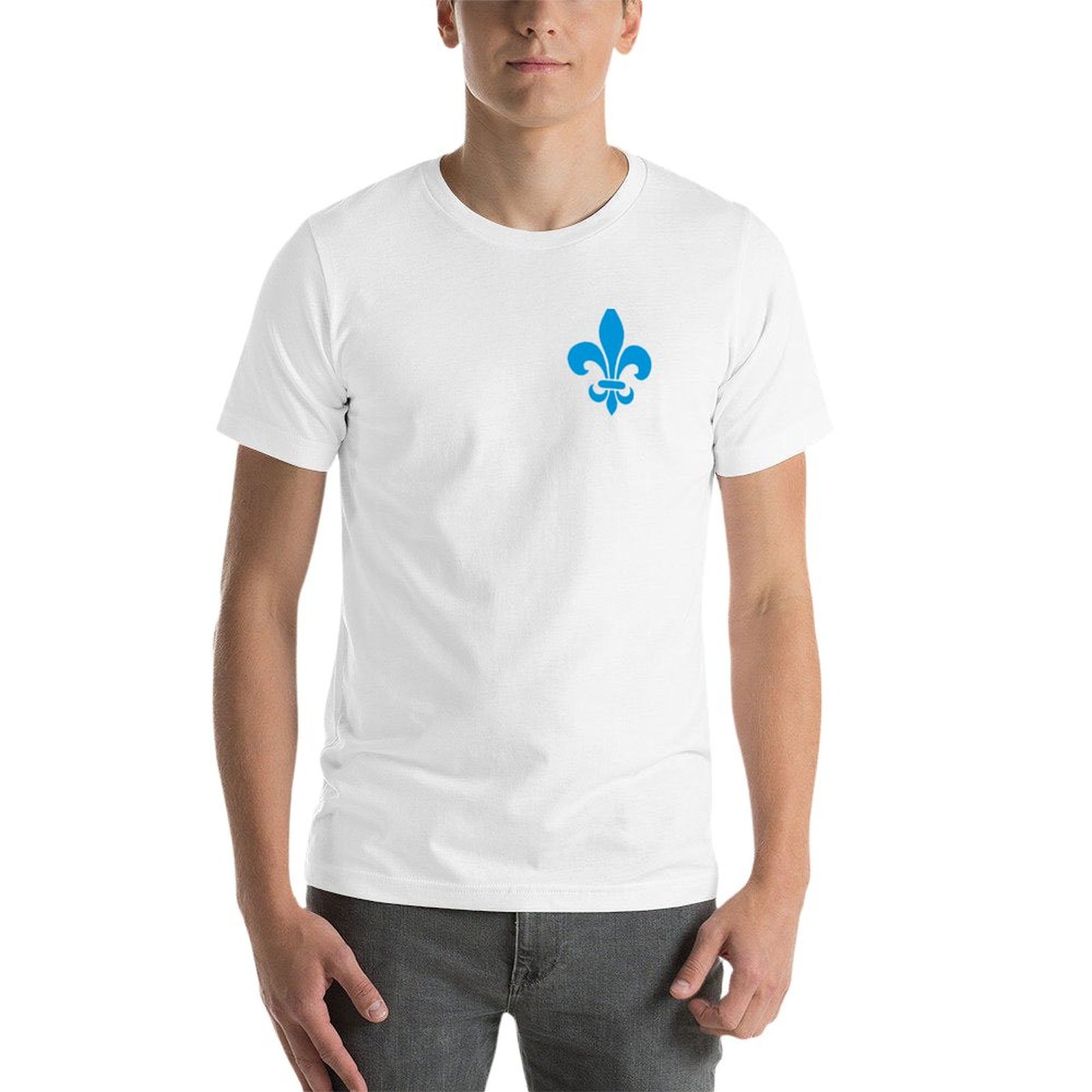 Quebec France blue fleur de ly - Printing Qc 评论和价格